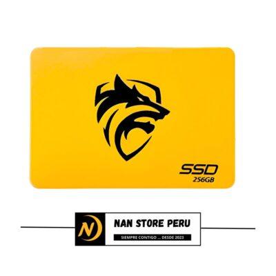 DISCO SOLIDO BOETEC 256GB